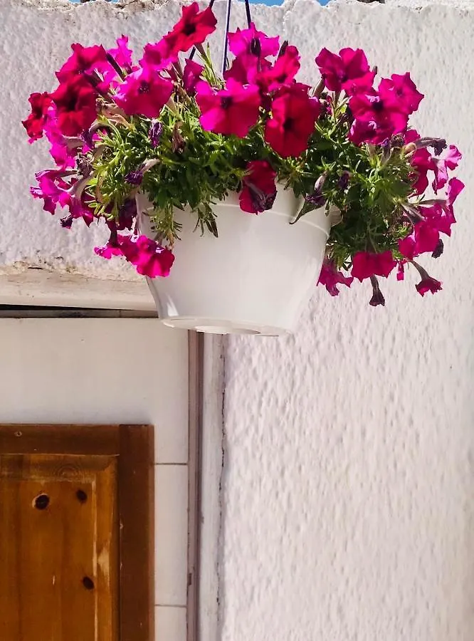 Douvas House Apartment Toroni Greece