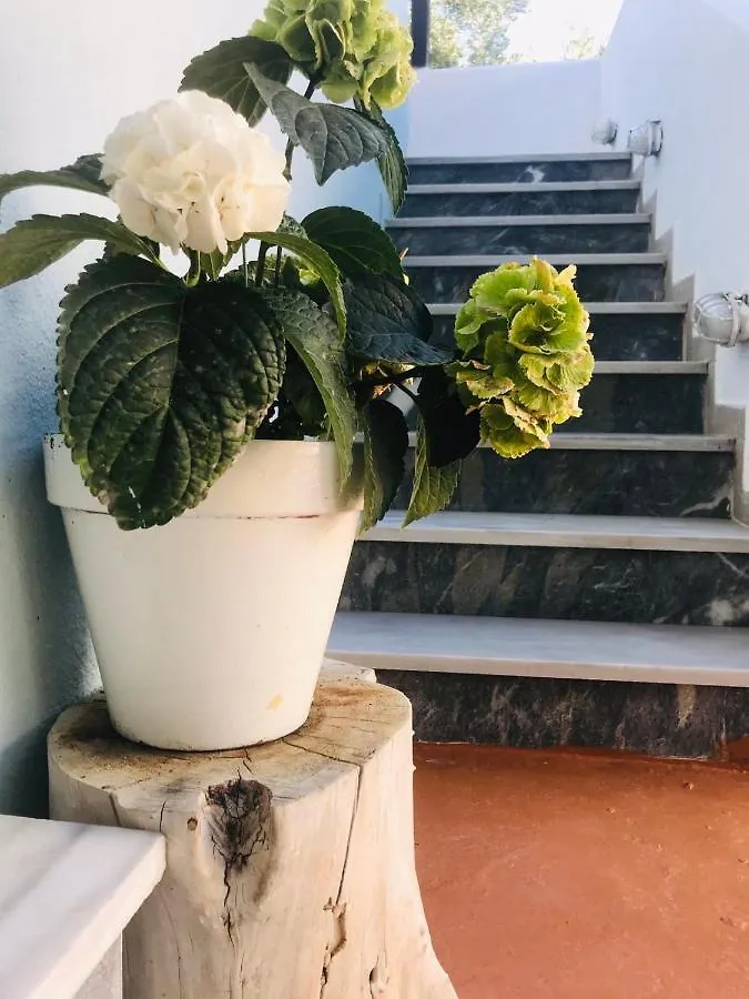 Douvas House Apartment Toroni 0*,  Greece